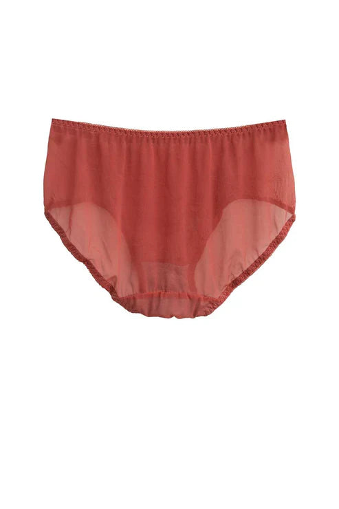 Women's Leak Protection Net Panty